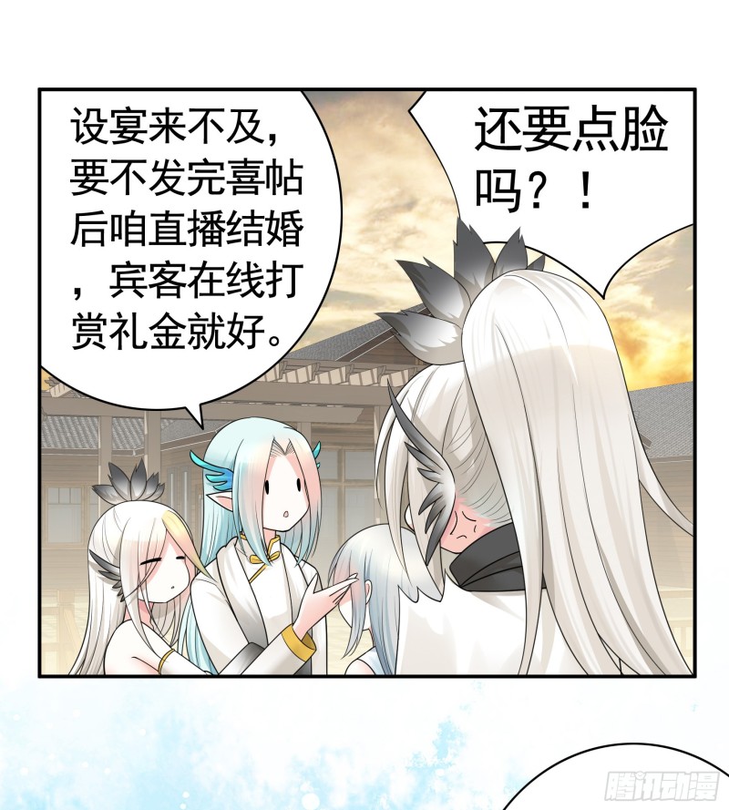十年白菜被渣龙啃了7