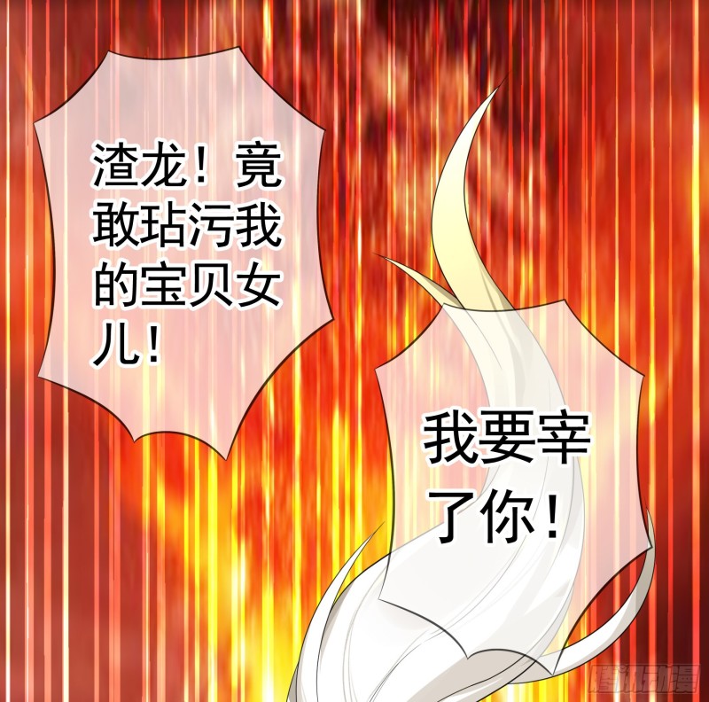 十年白菜被渣龙啃了0
