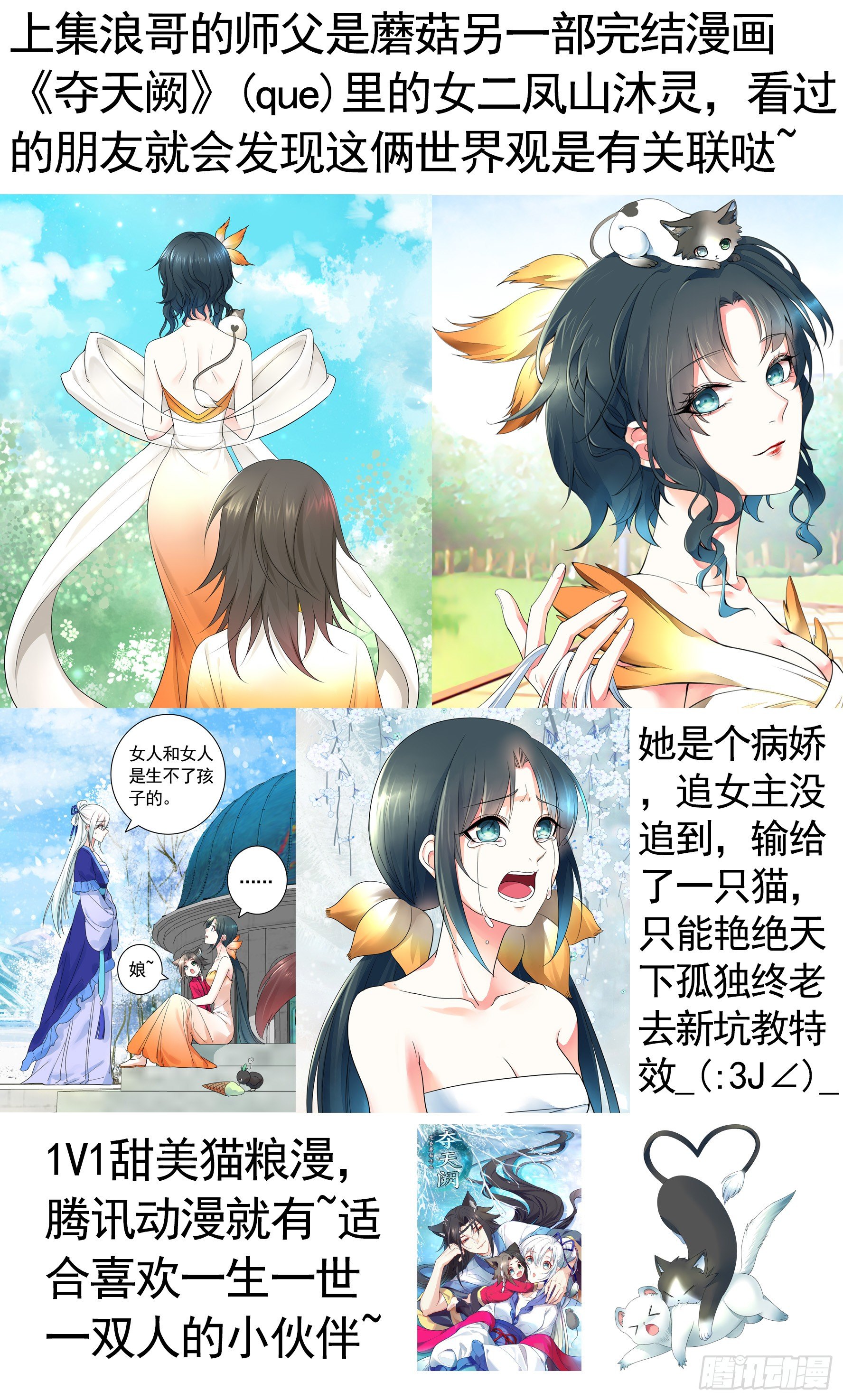 我的特效在你们之上59