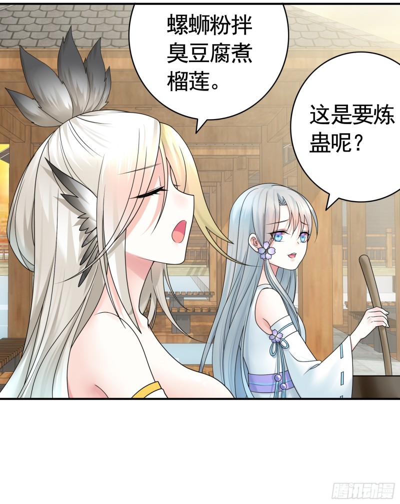 十年白菜被渣龙啃了12