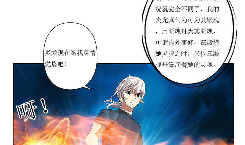 第359话 凝魂丹25