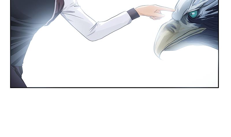 第328话 灵兽36
