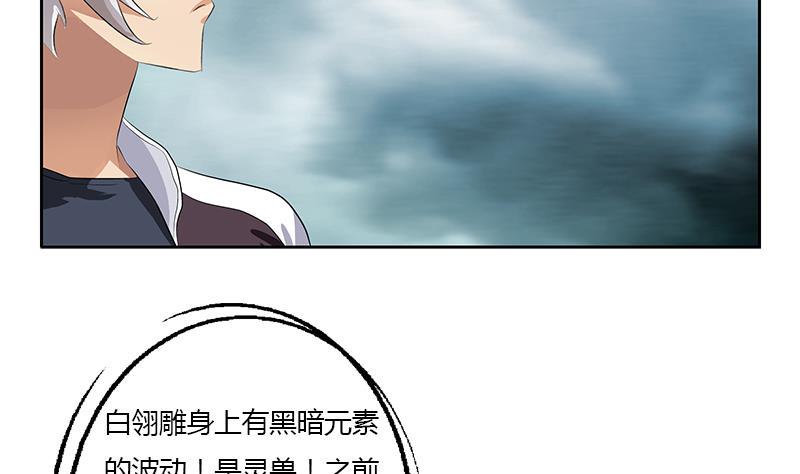 第328话 灵兽4