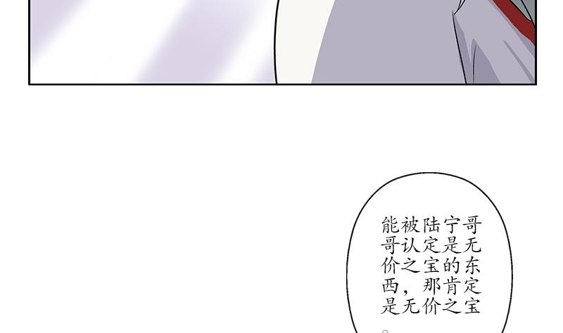 第216话 残图19