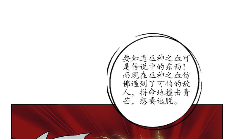 第235话 巫神之血43