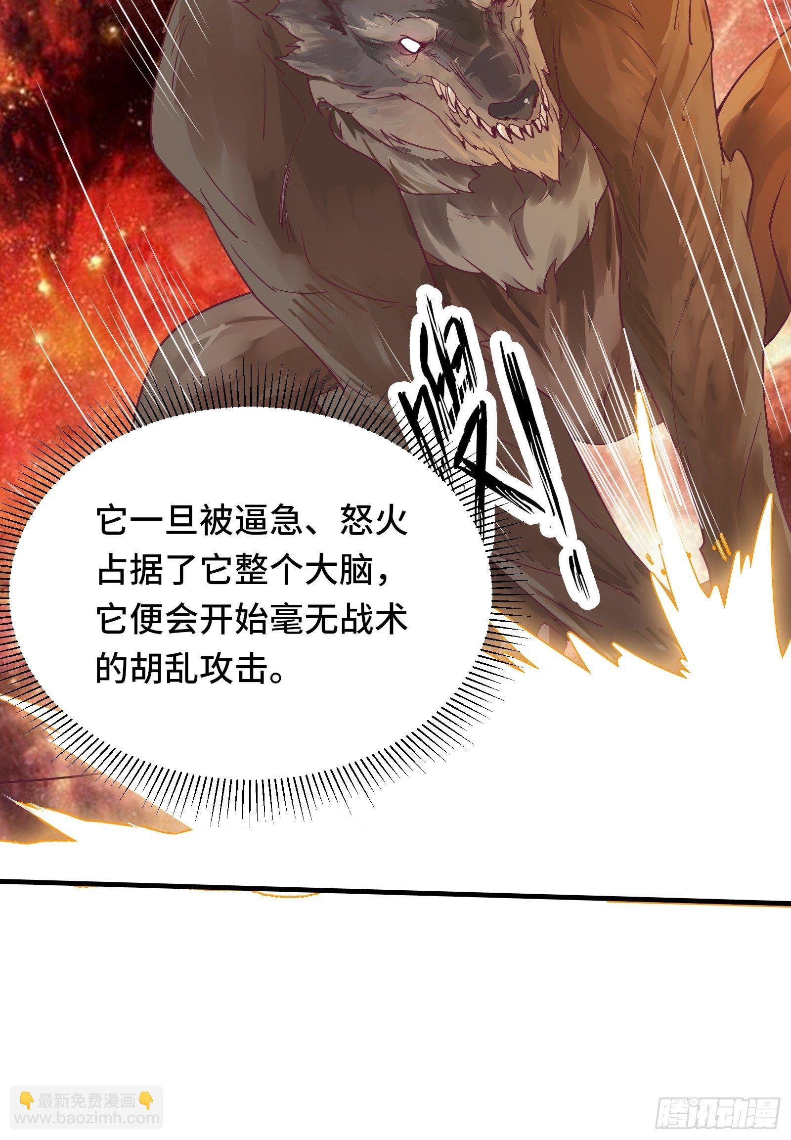 第41话 陈氏战术vs铁背苍狼19