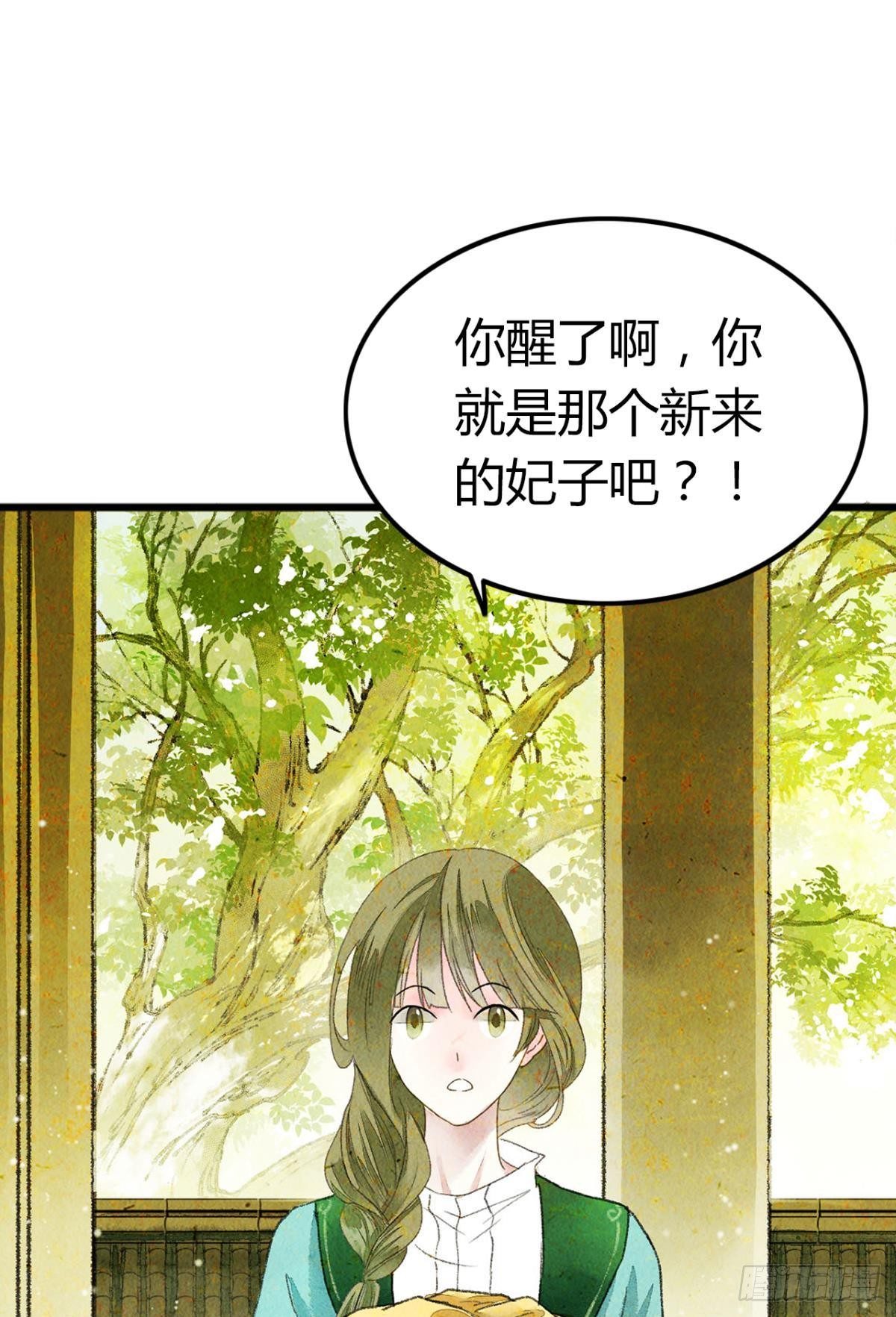 贬为妃子？1