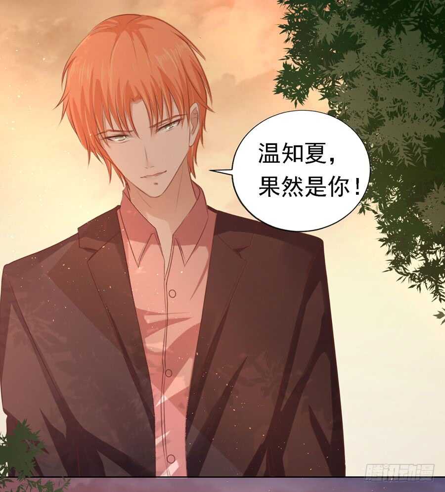 从此两不相欠14
