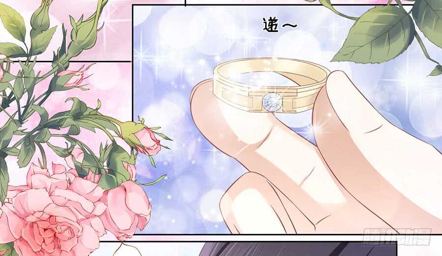 求婚27