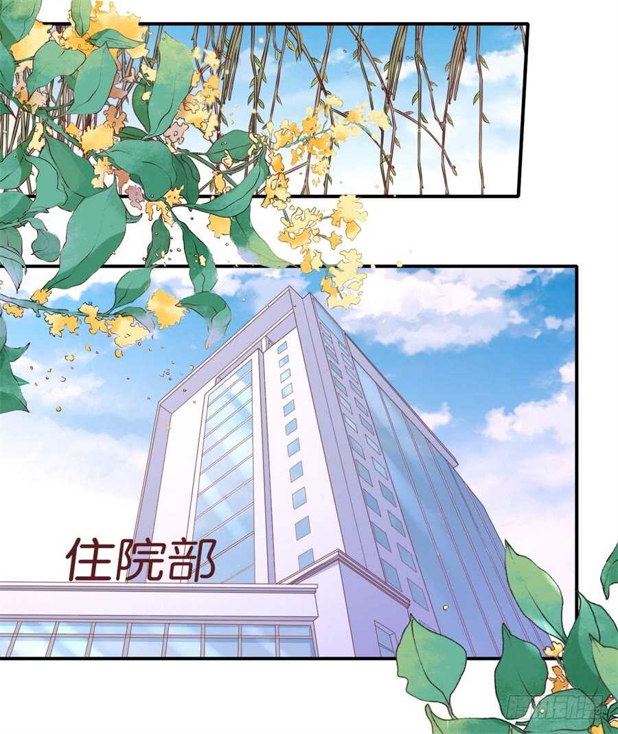 爱的奇迹13