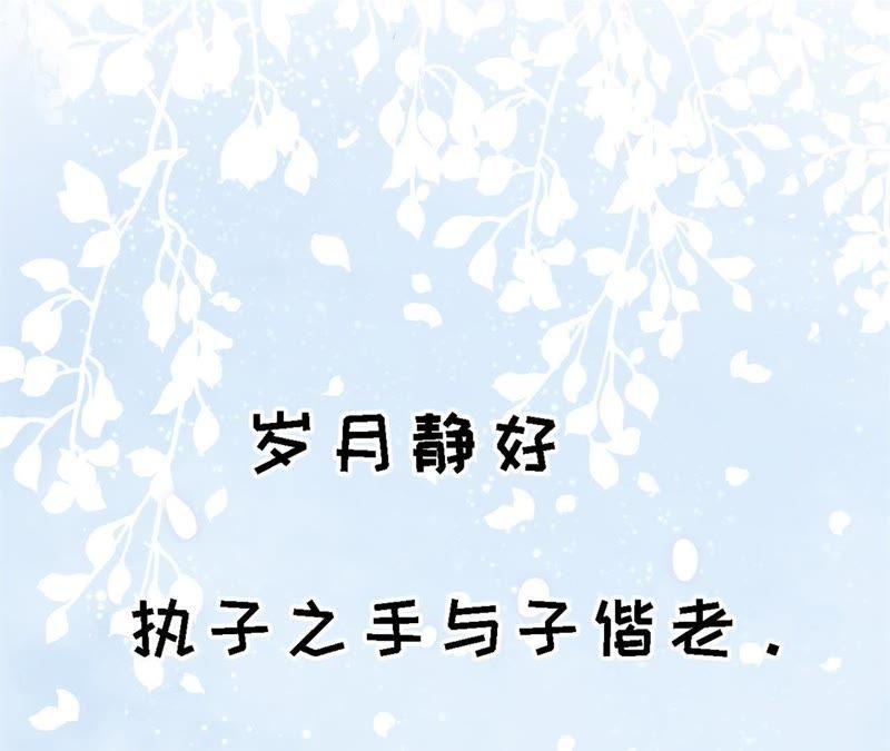 岁月静好47