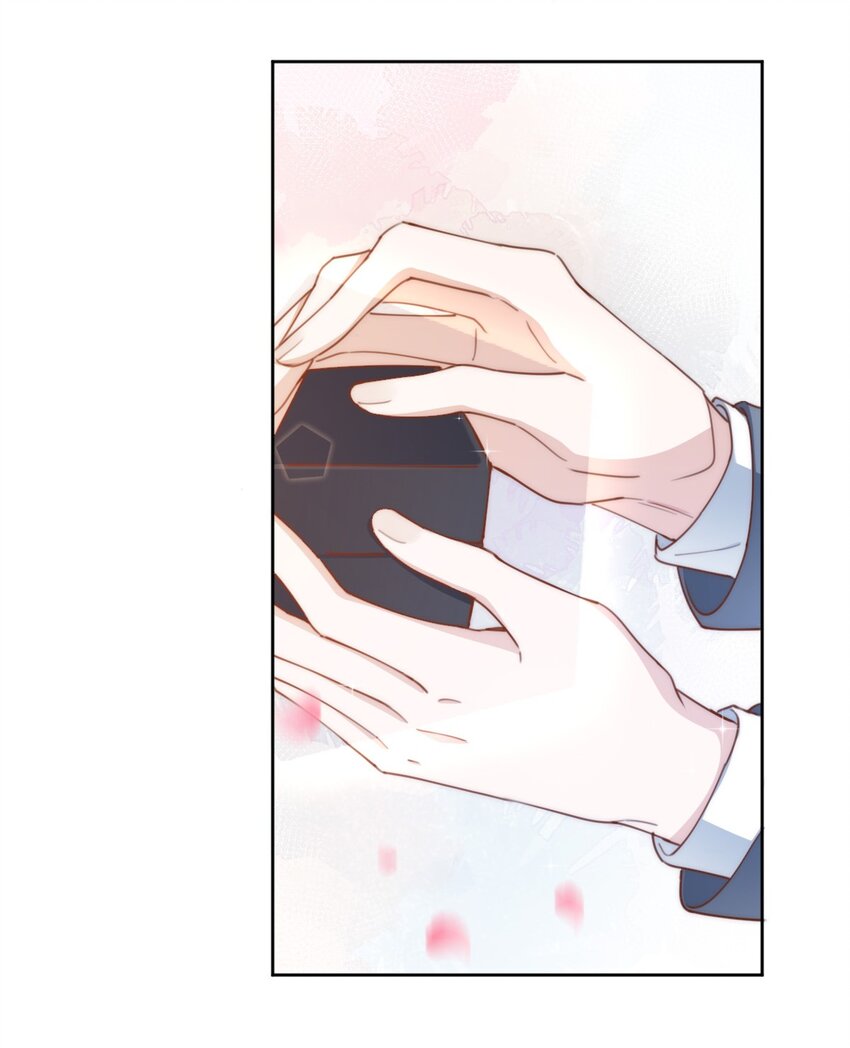 051嫁给我26