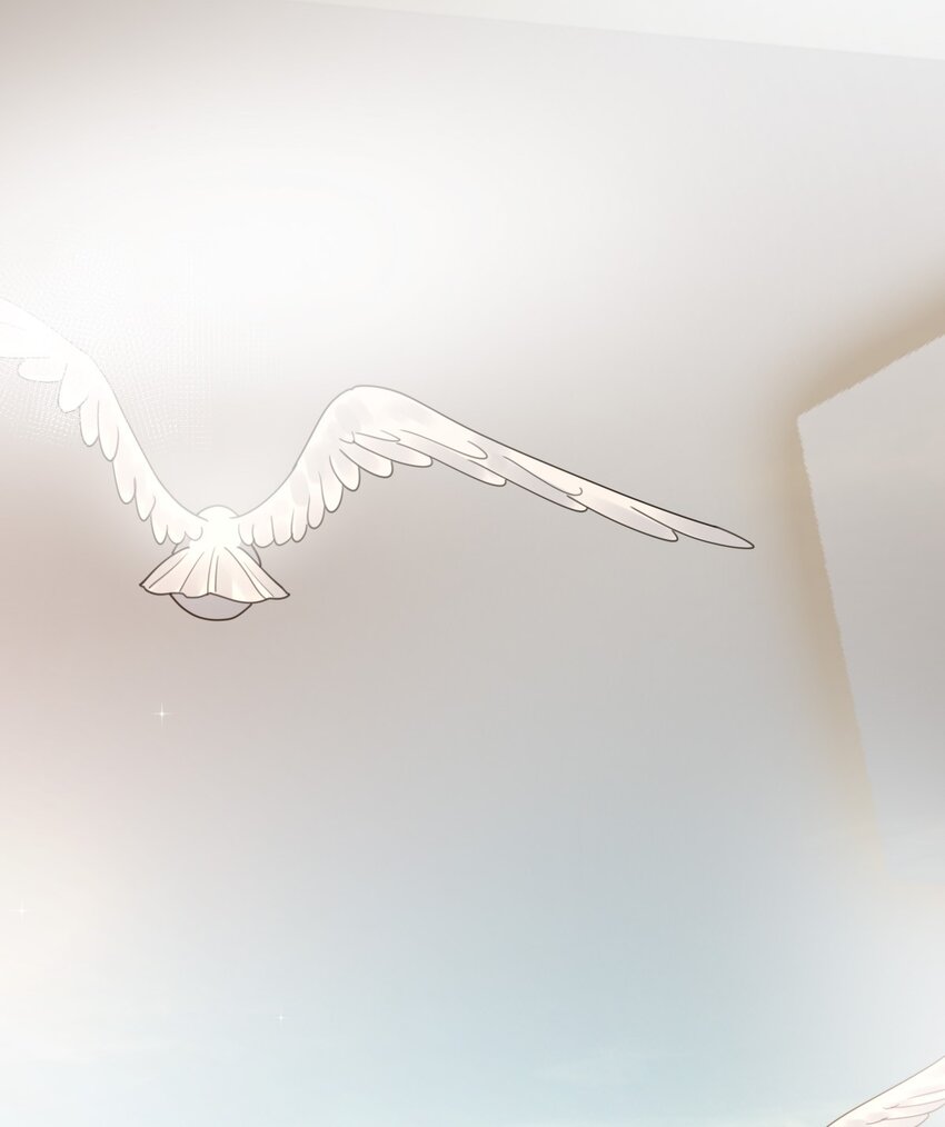 051嫁给我46