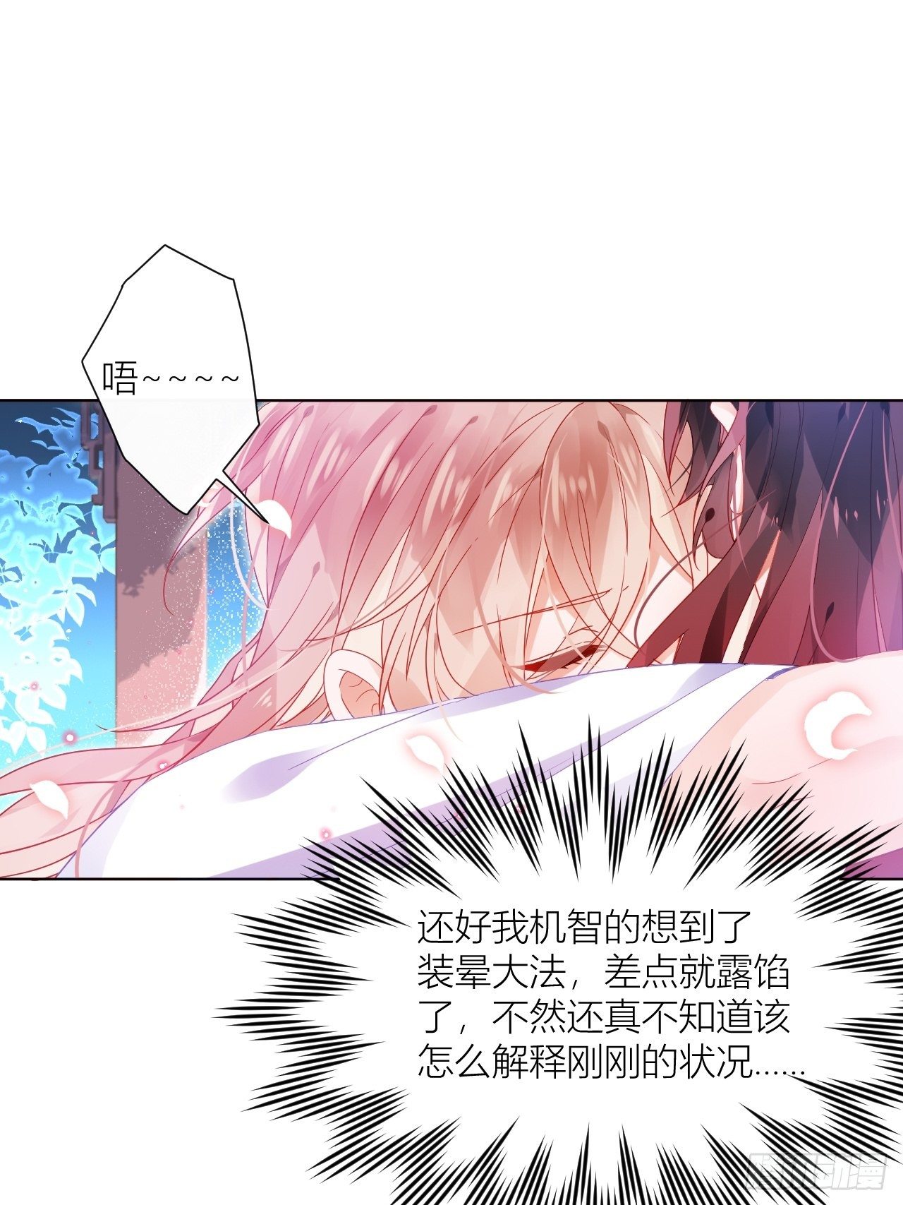 邀君一同赏夏菊！18