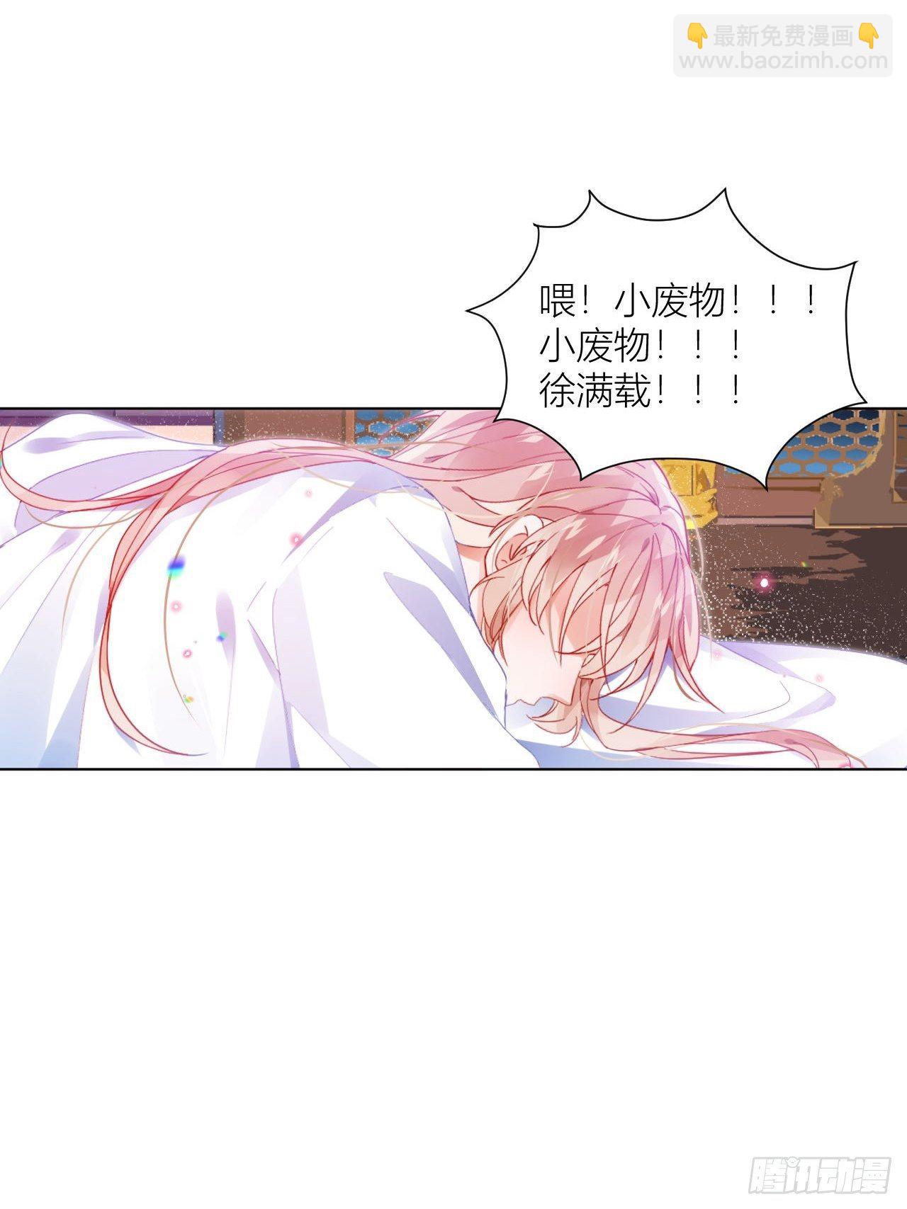 邀君一同赏夏菊！9