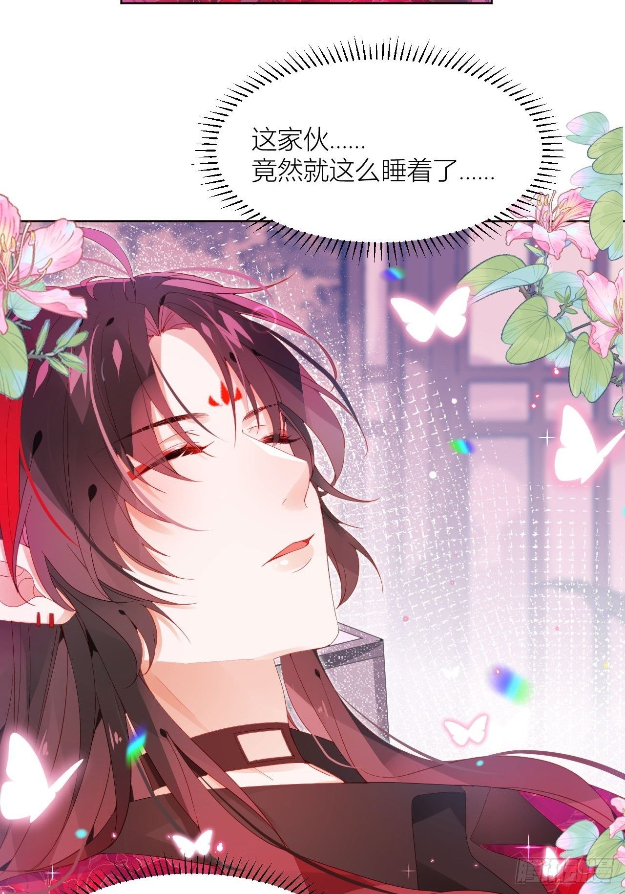 邀君一同赏夏菊！28