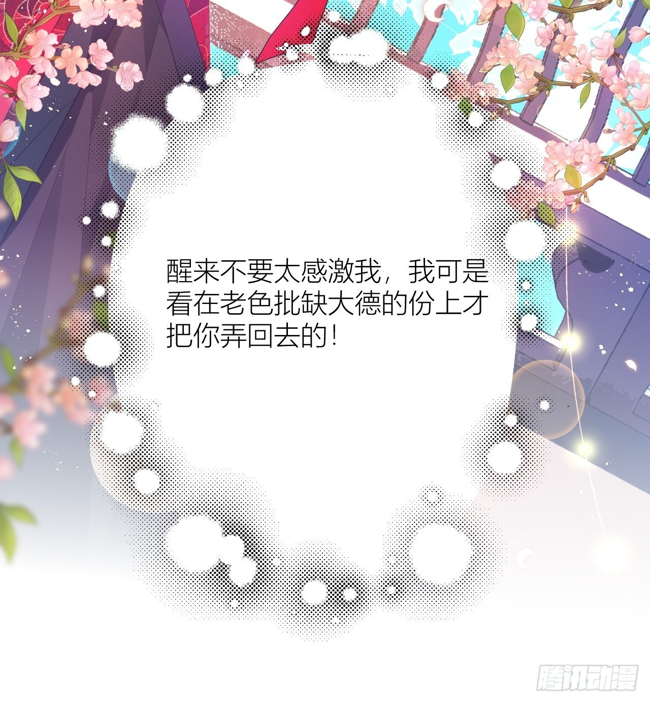 邀君一同赏夏菊！17