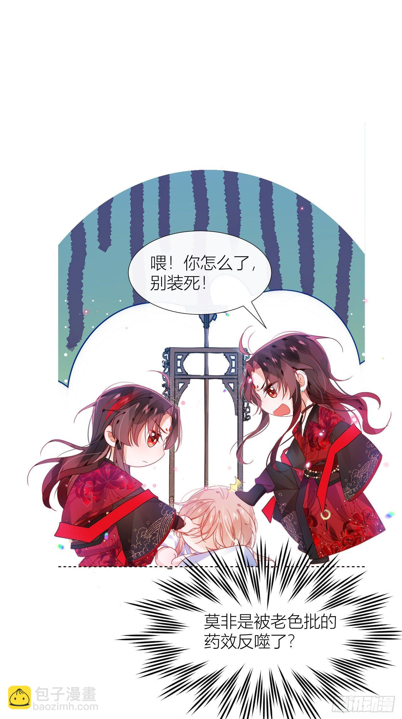 邀君一同赏夏菊！11