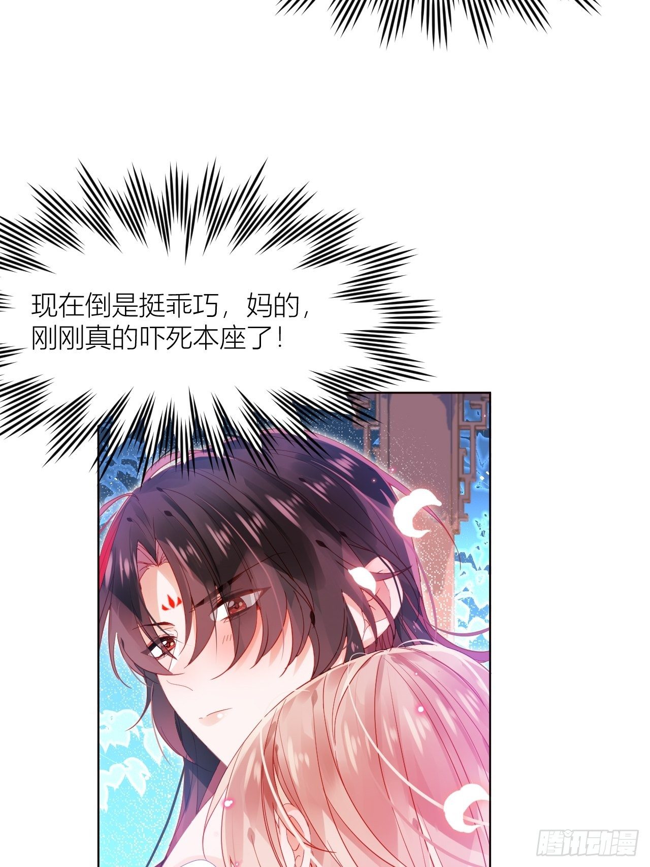邀君一同赏夏菊！19
