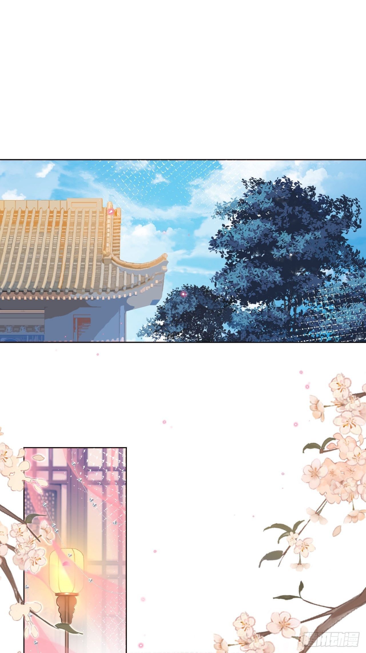 邀君一同赏夏菊！37