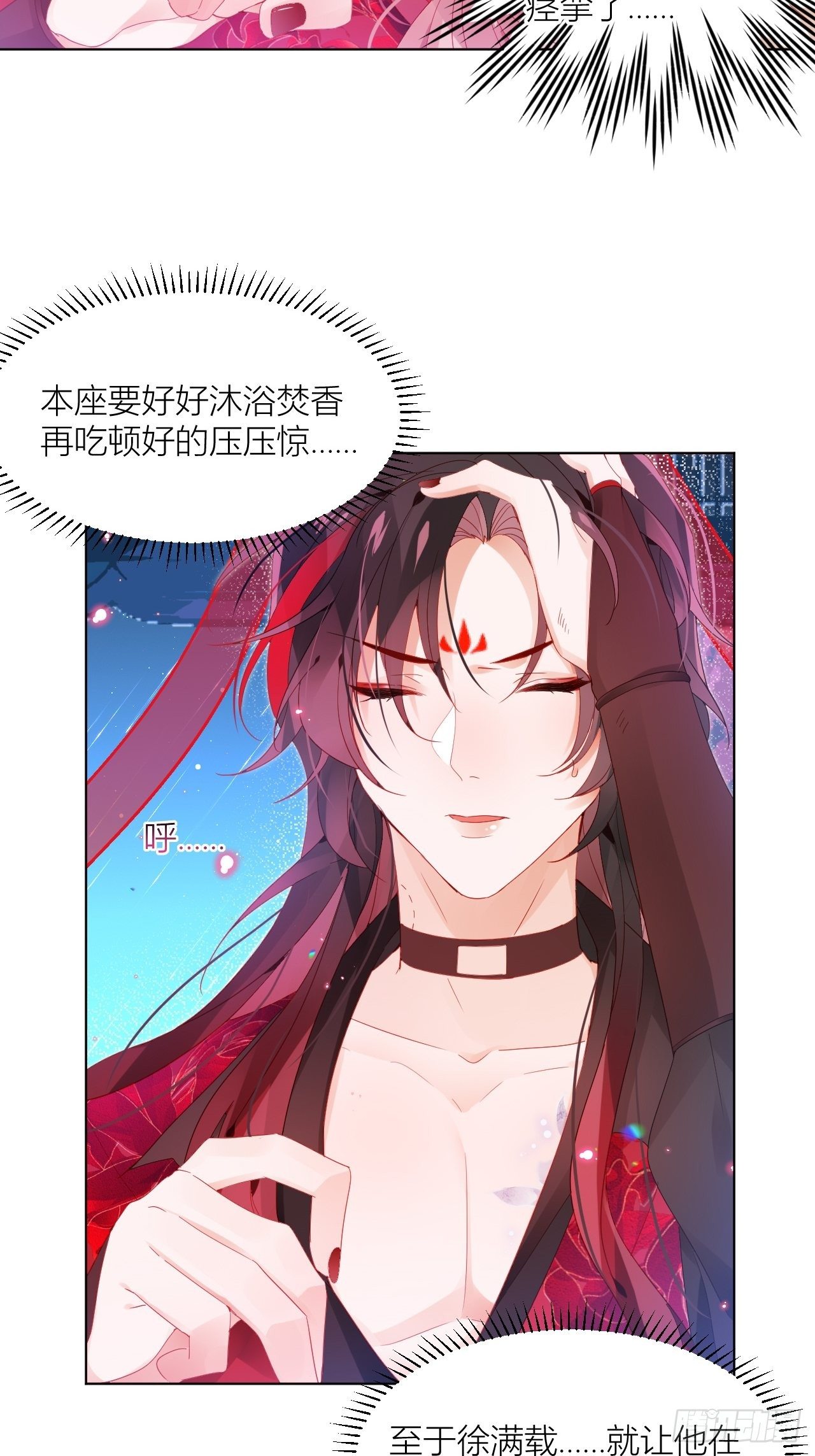 邀君一同赏夏菊！13