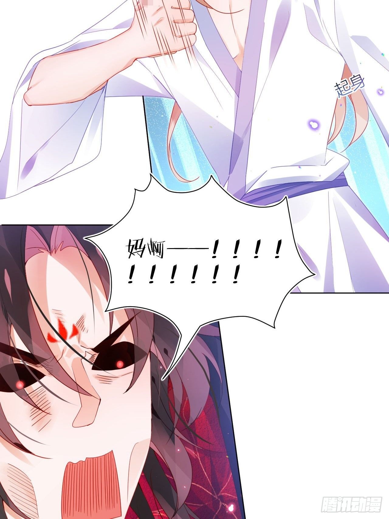 邀君一同赏夏菊！4