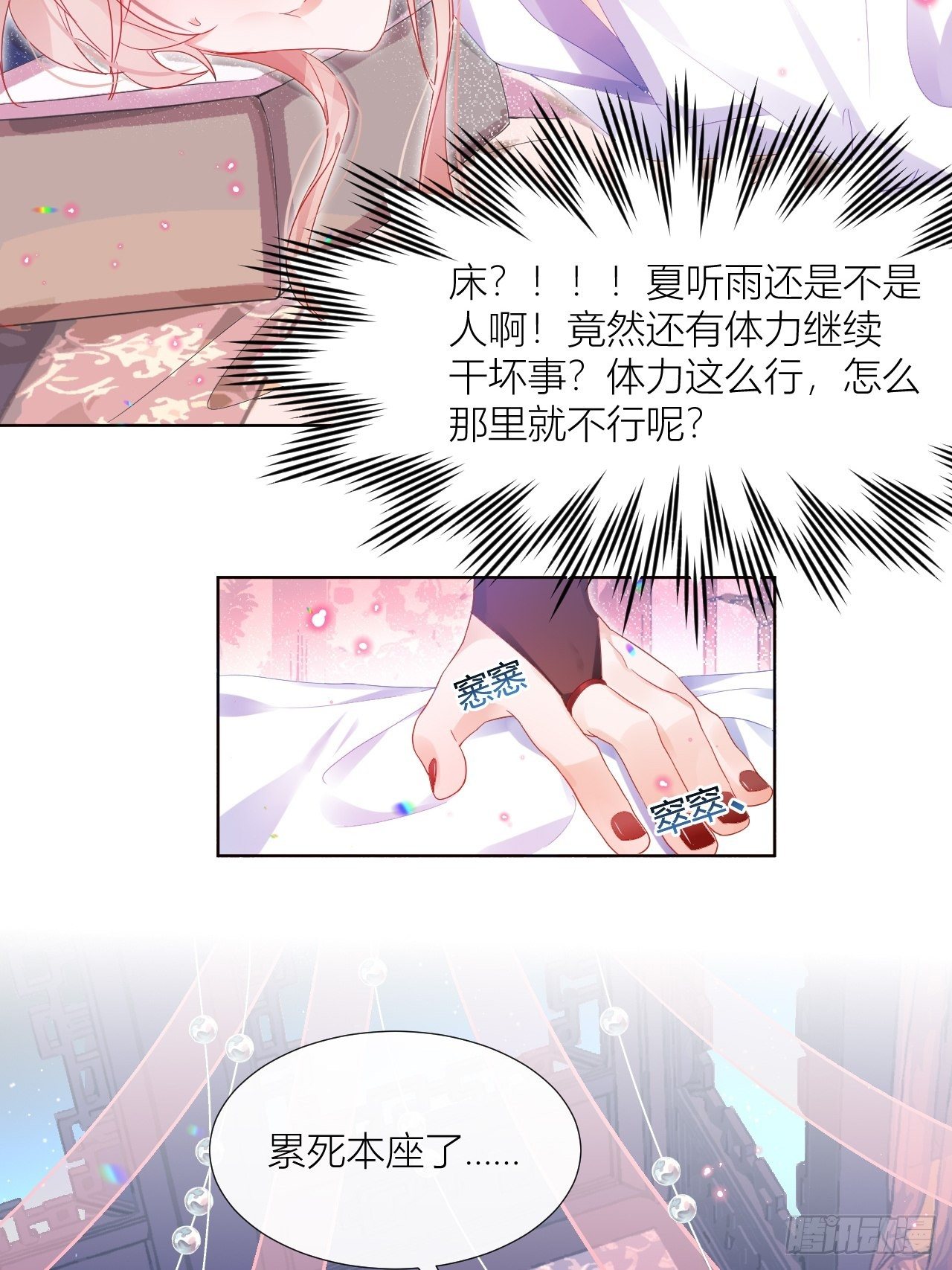 邀君一同赏夏菊！24