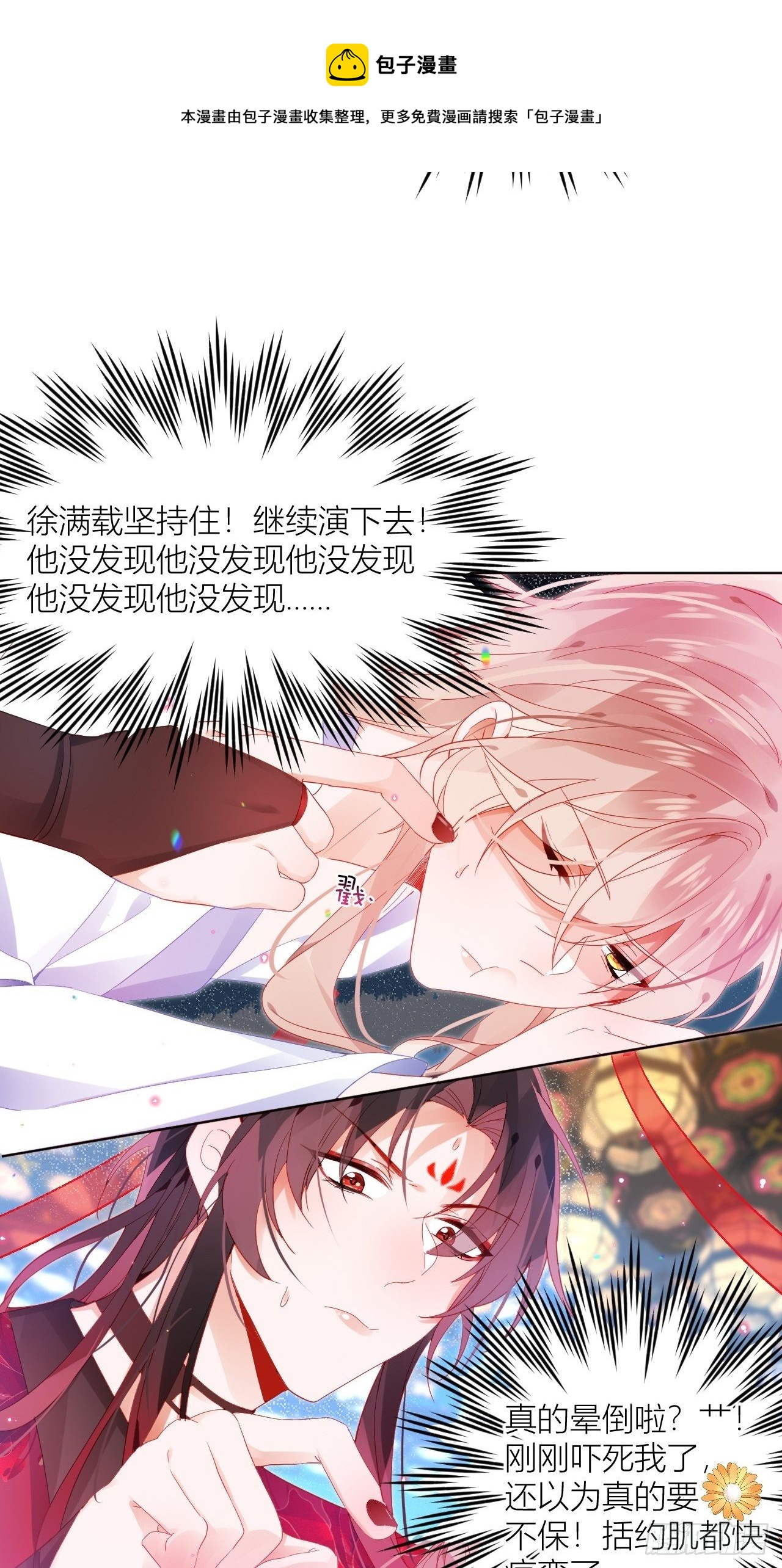 邀君一同赏夏菊！12