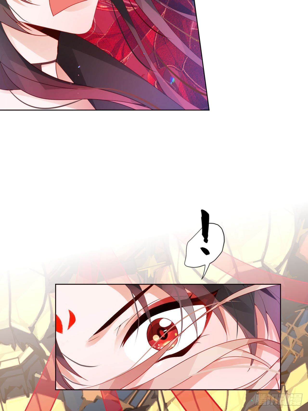 邀君一同赏夏菊！5