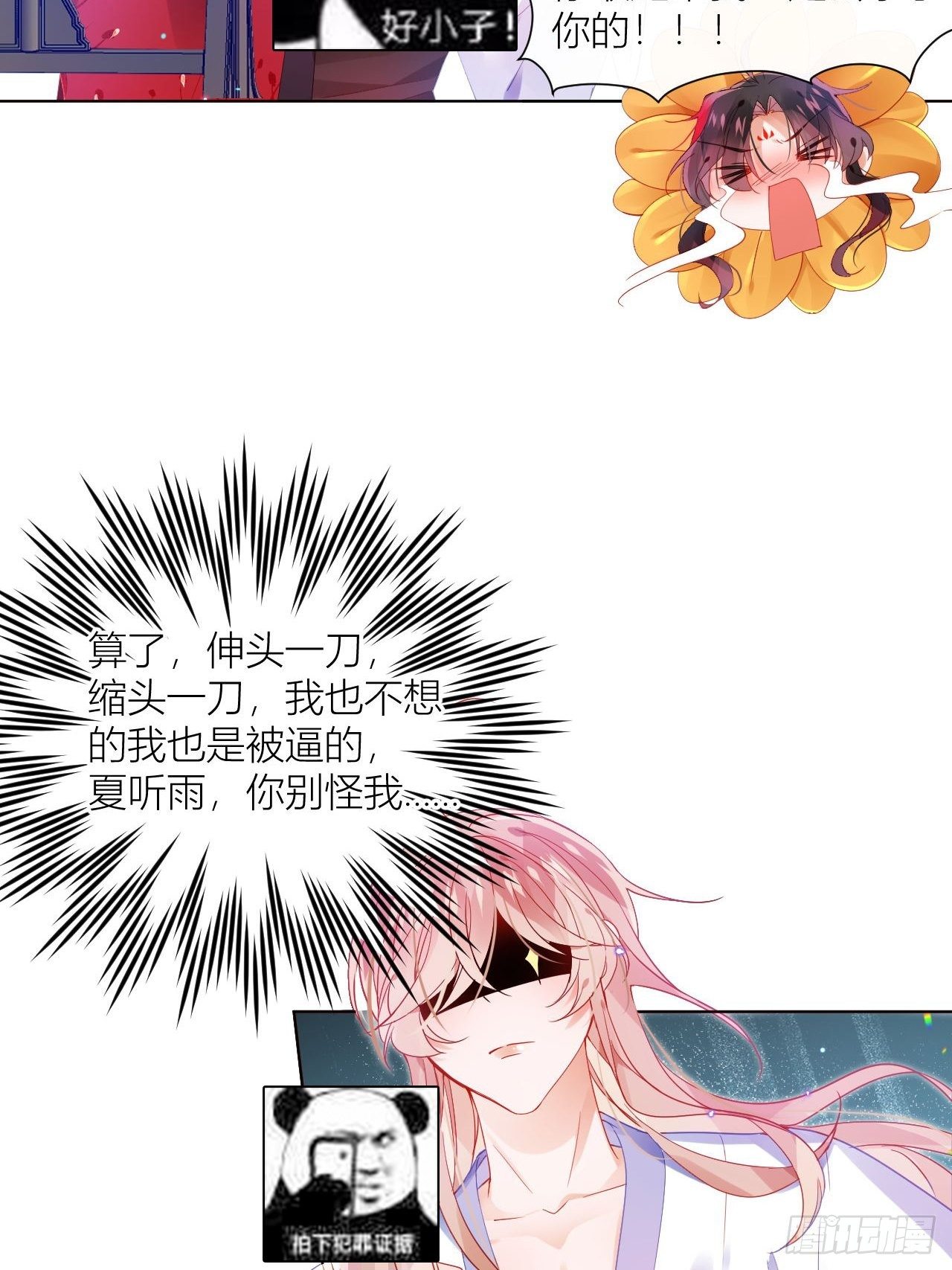 邀君一同赏夏菊！3