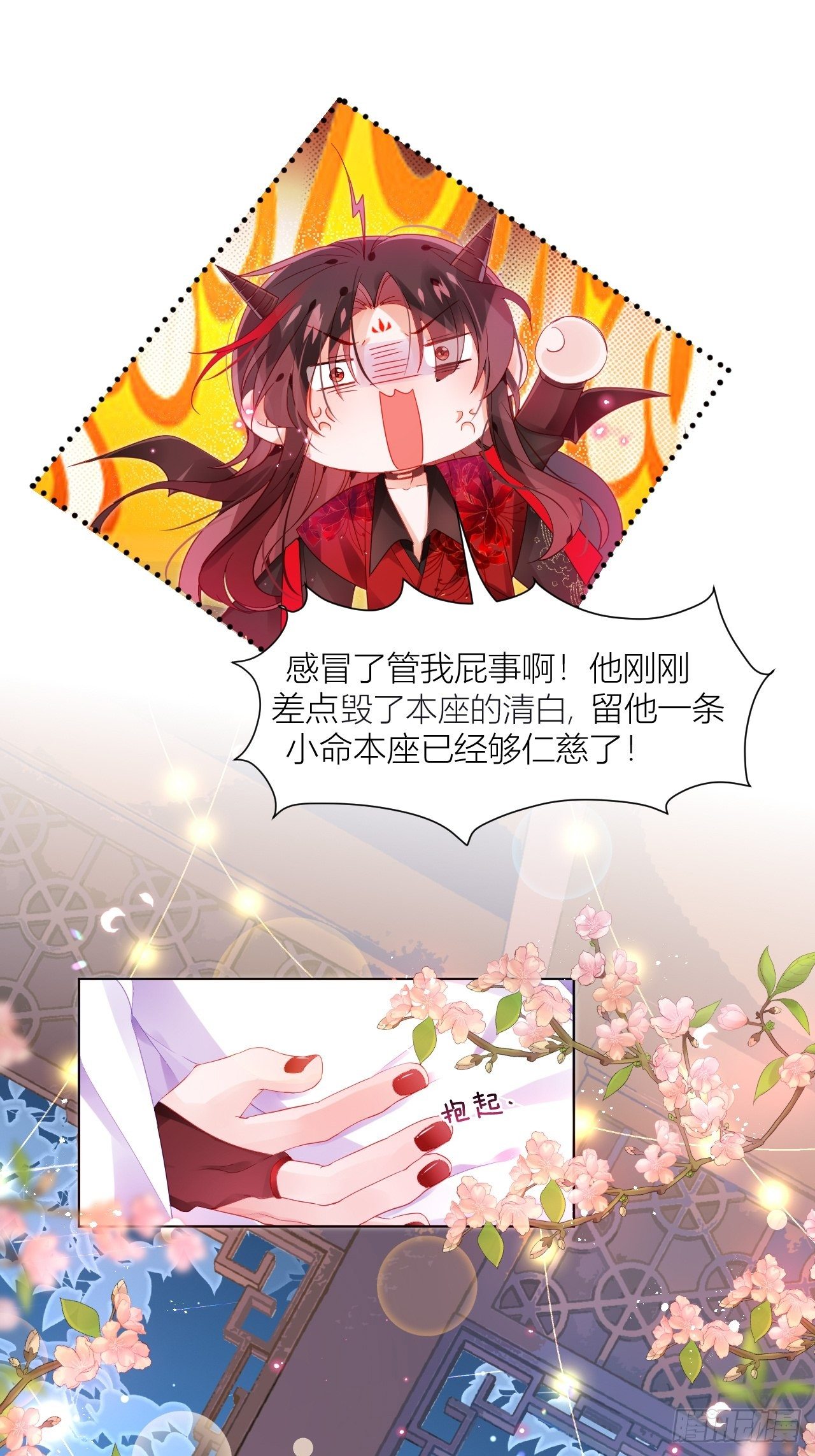 邀君一同赏夏菊！15