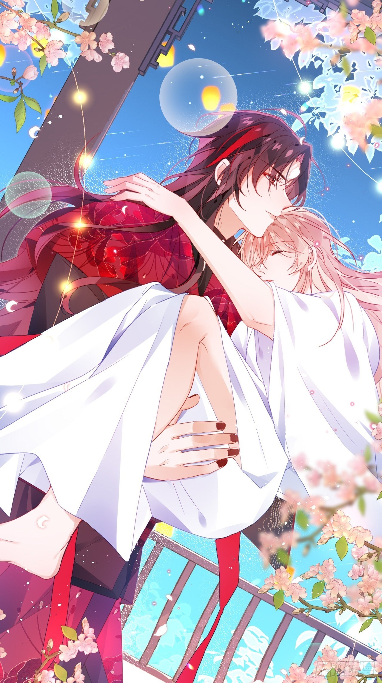 邀君一同赏夏菊！16