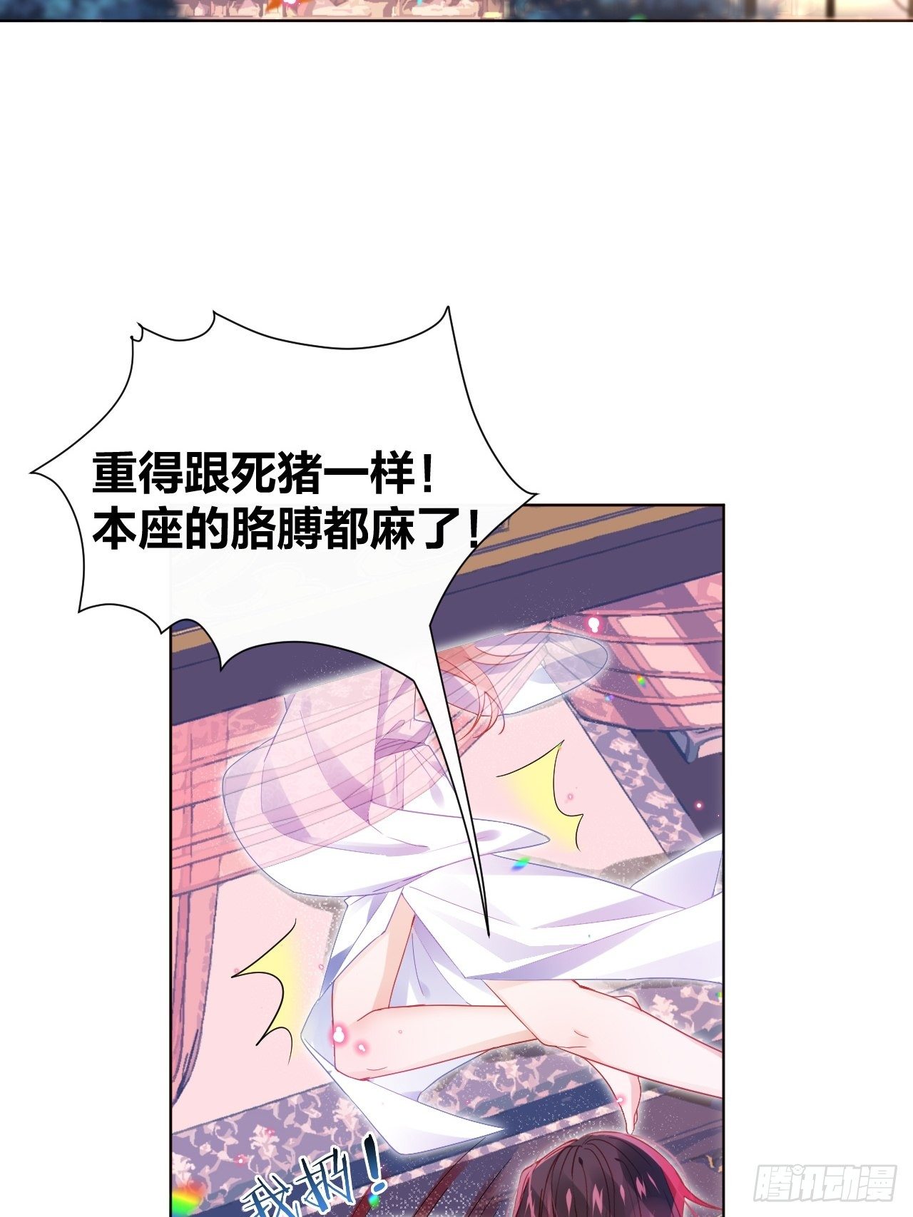 邀君一同赏夏菊！22