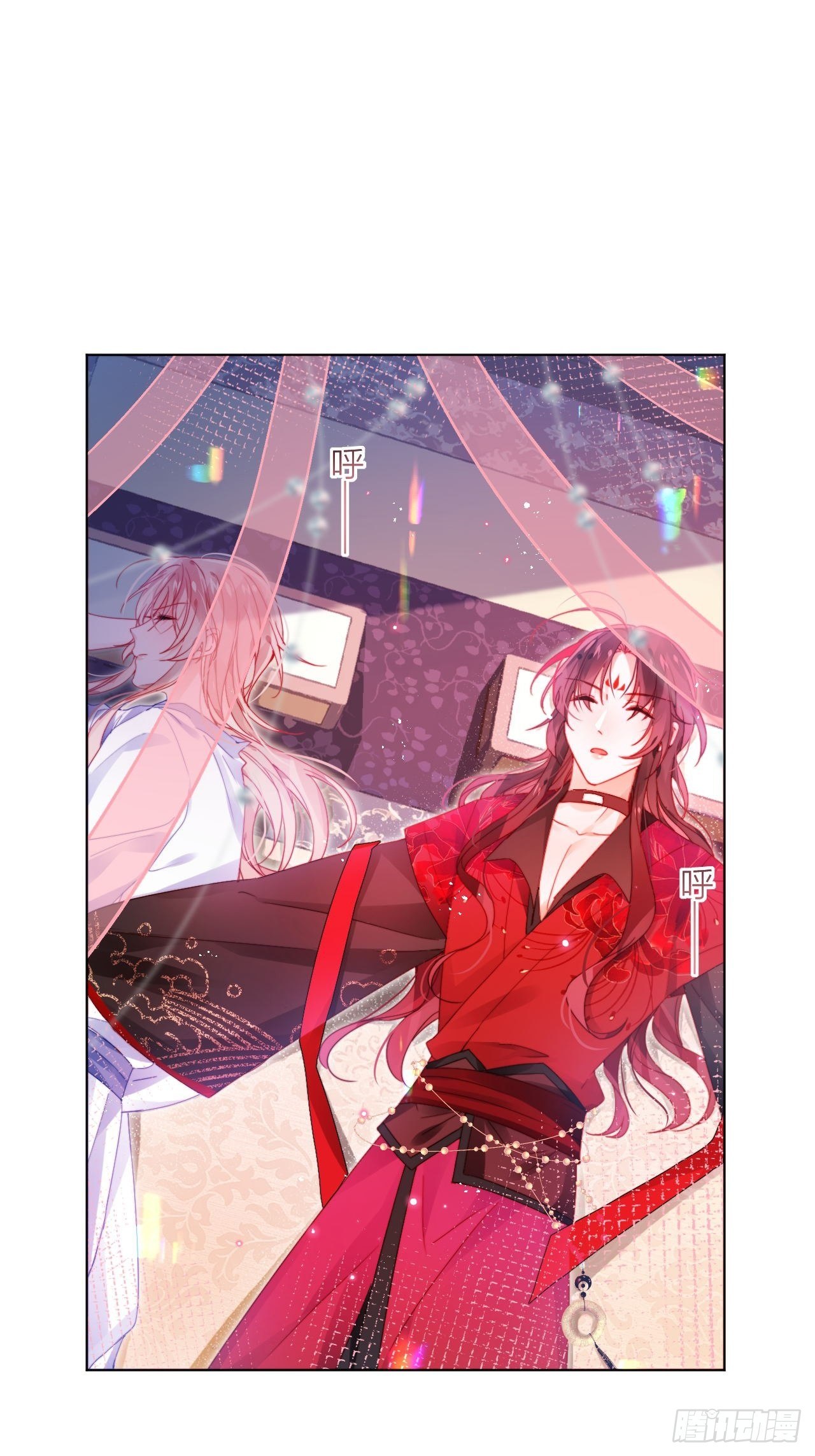 邀君一同赏夏菊！36