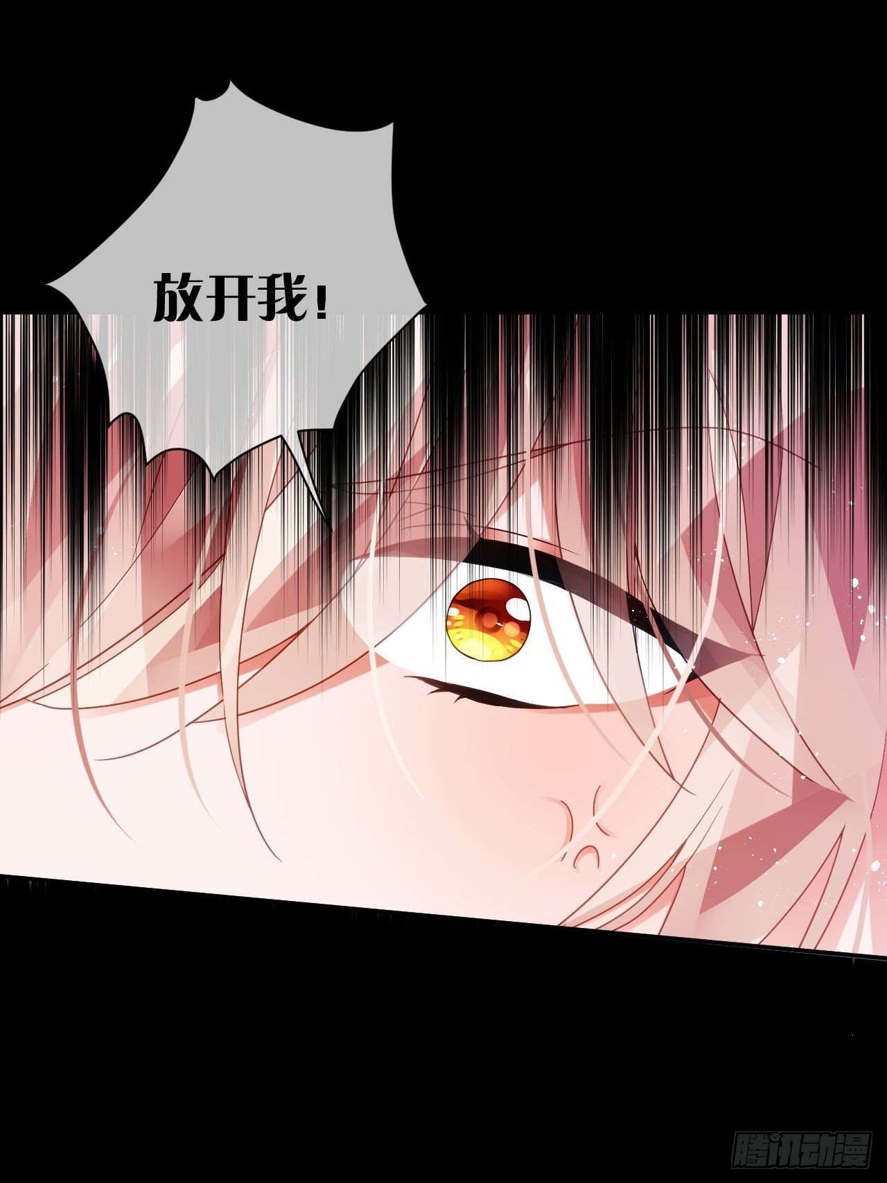 你为何要骗我11