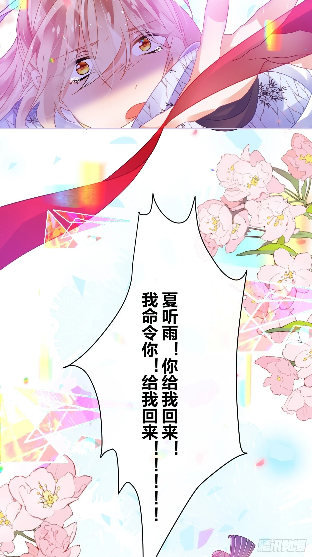 再见了，满崽41