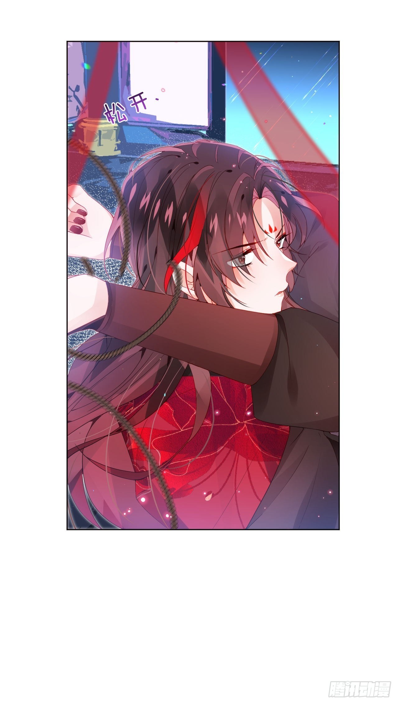 邀君一同赏夏菊！10