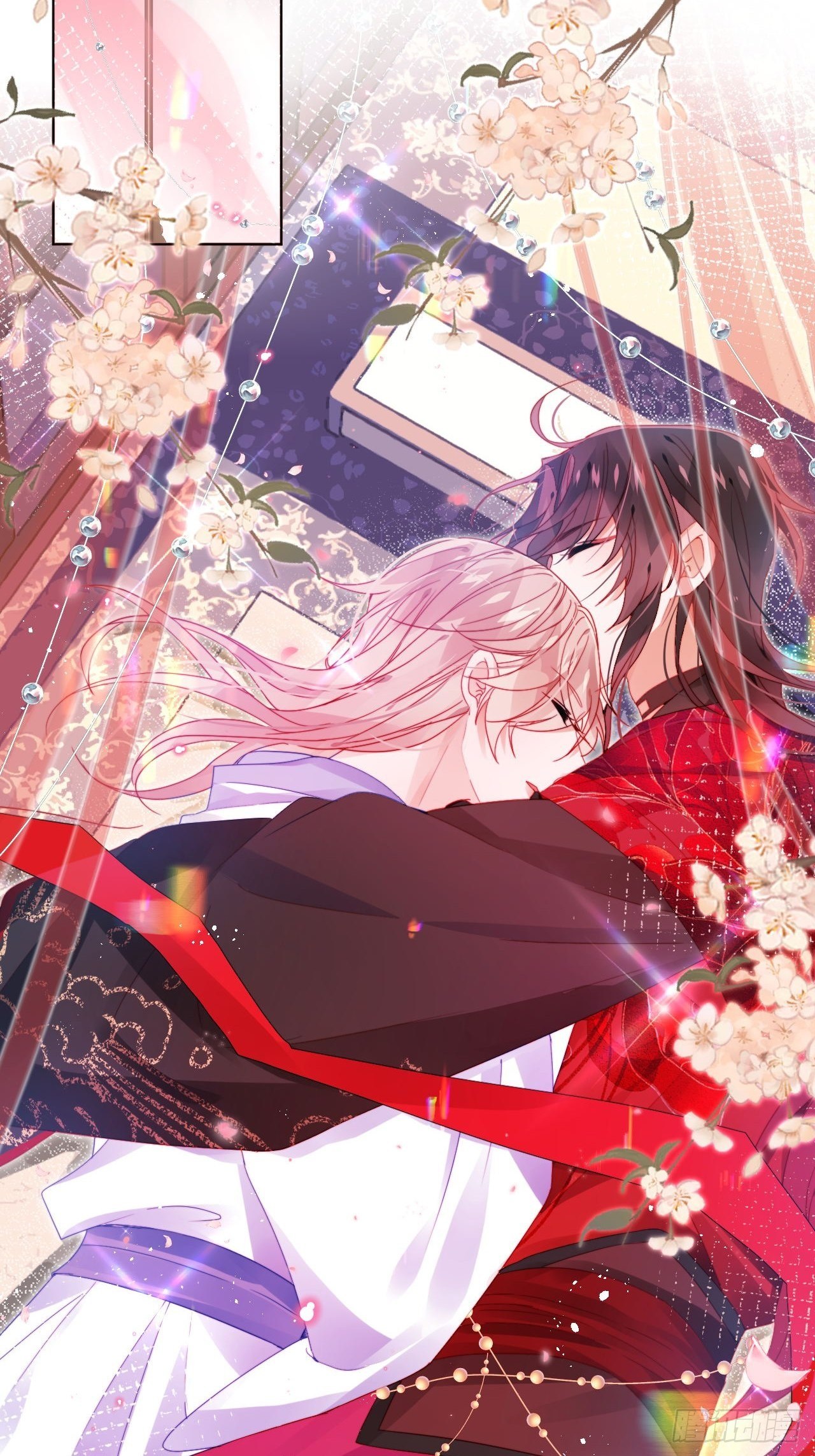 邀君一同赏夏菊！38