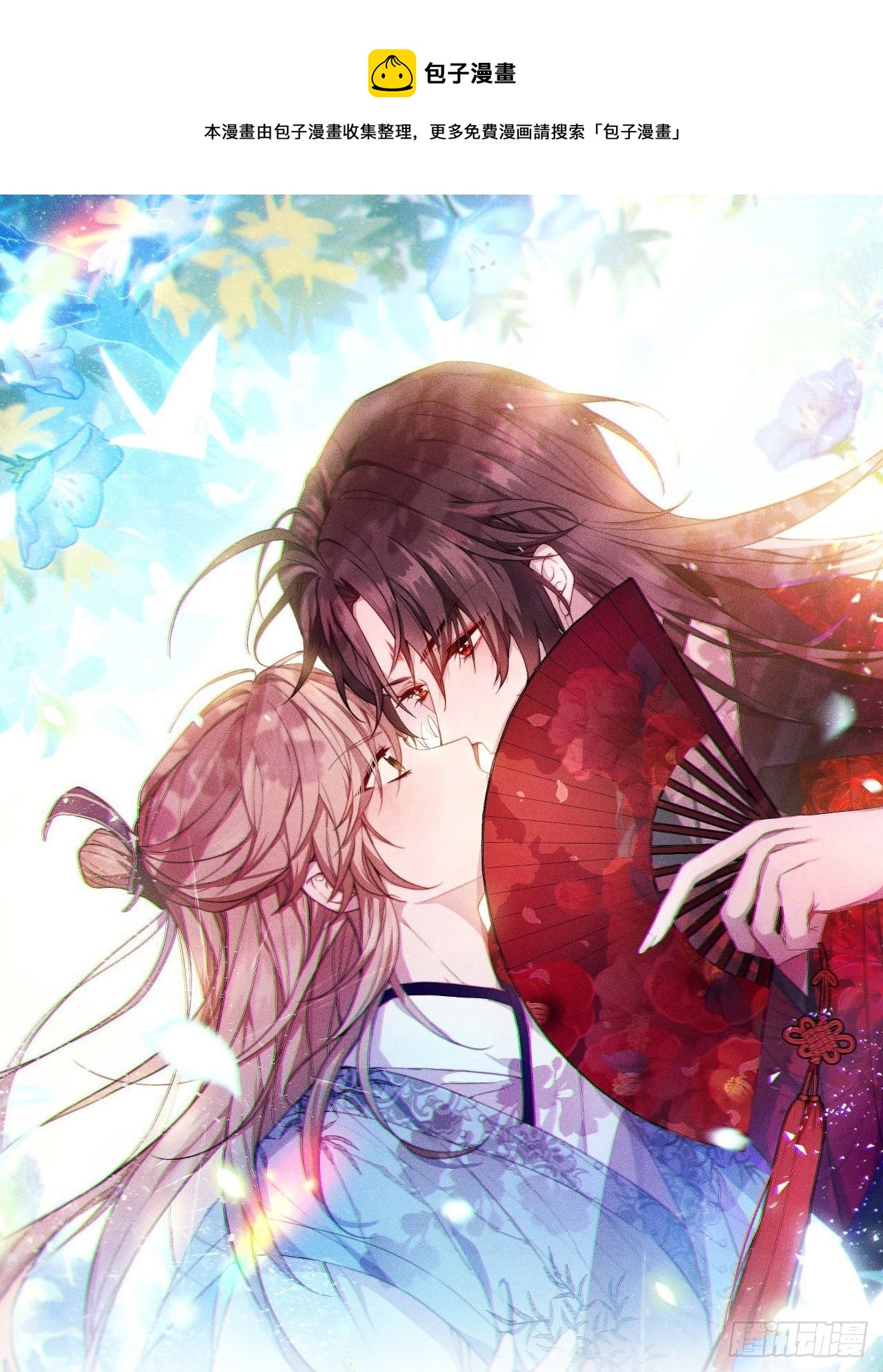 邀君一同赏夏菊！0