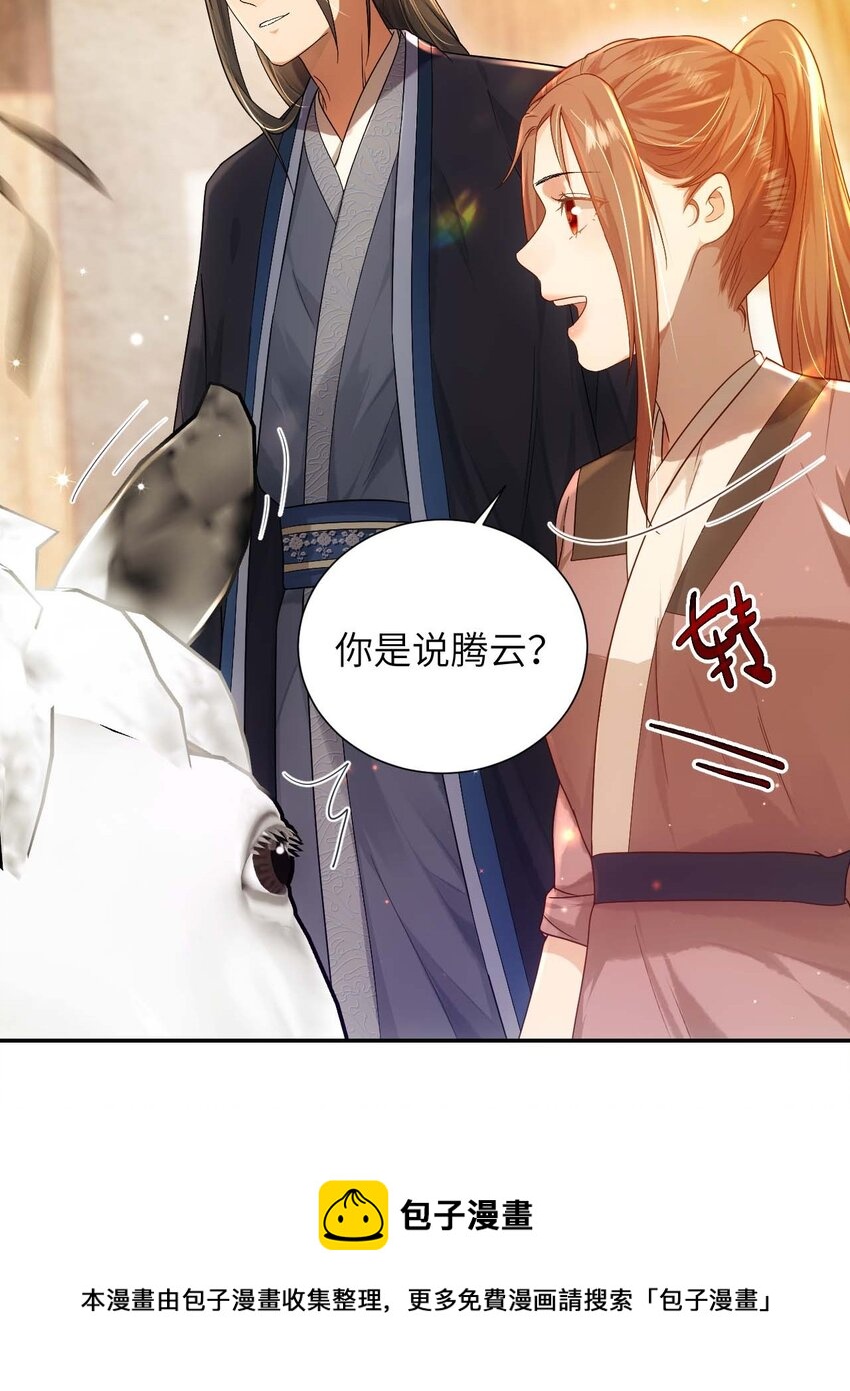 第十二话 套路20