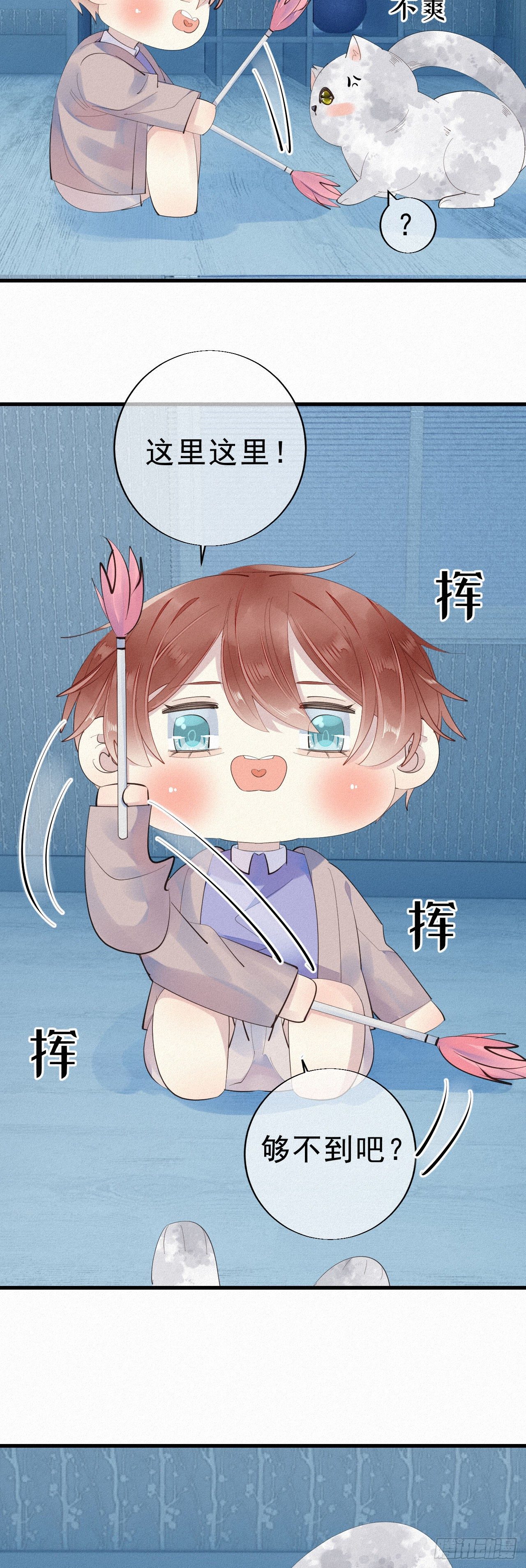 24.逗猫18