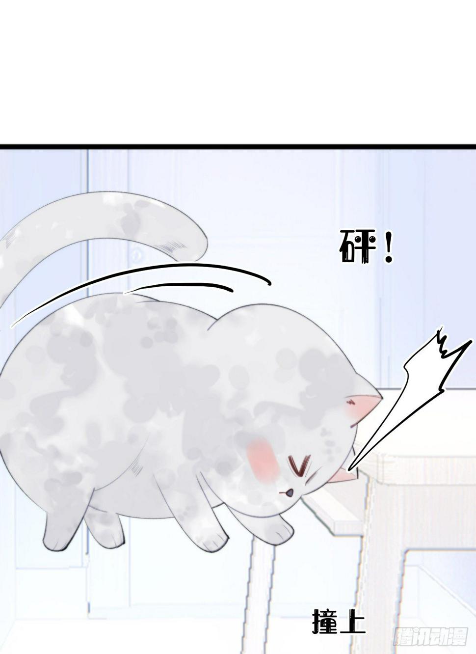番外三.吃胖17