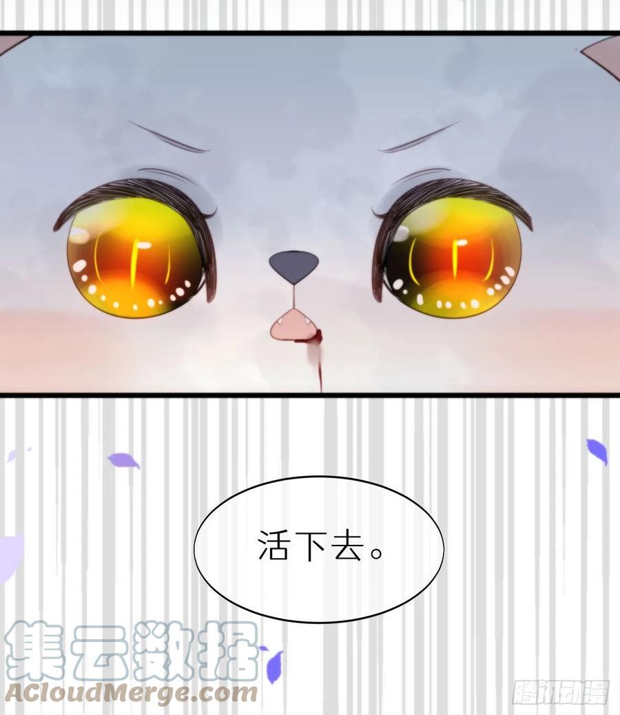 95.妖丹57