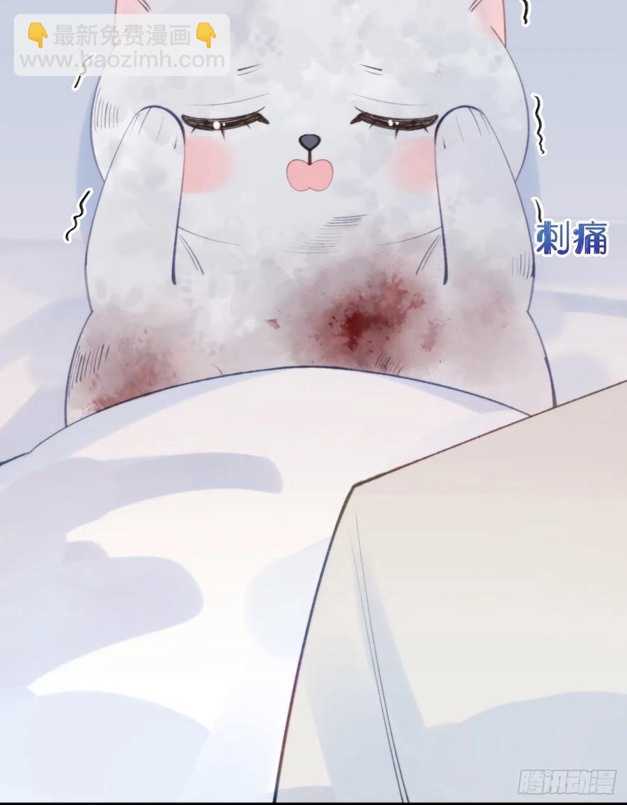 96.这就带你回家46