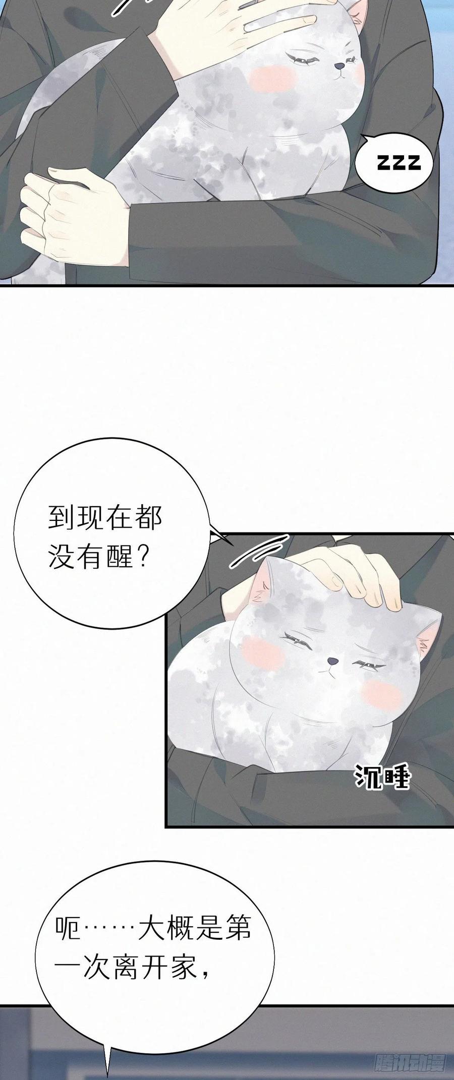 56.试探13