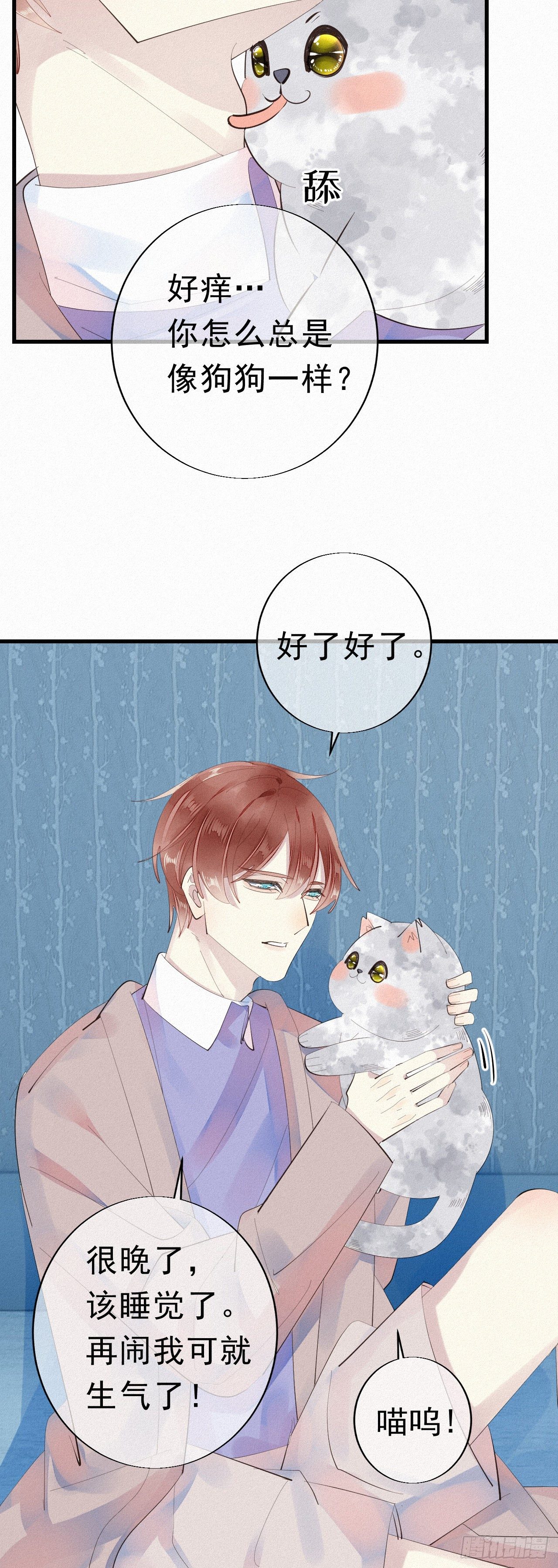 24.逗猫24