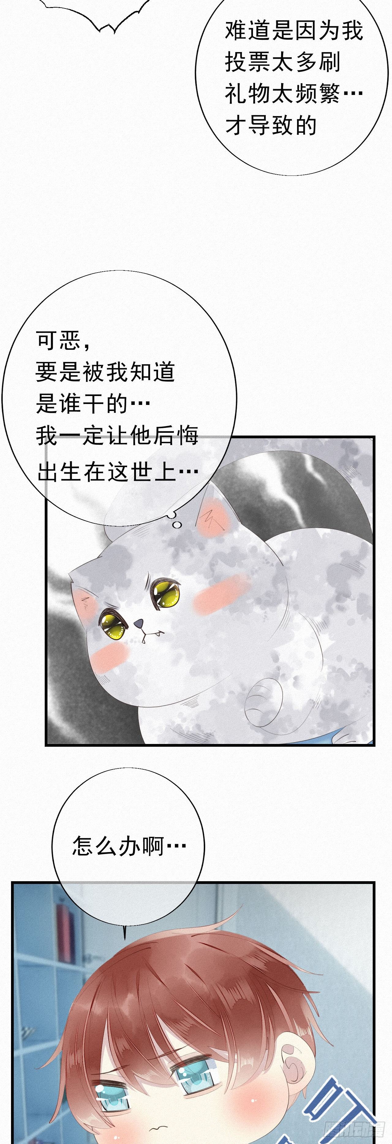 25.取消资格26