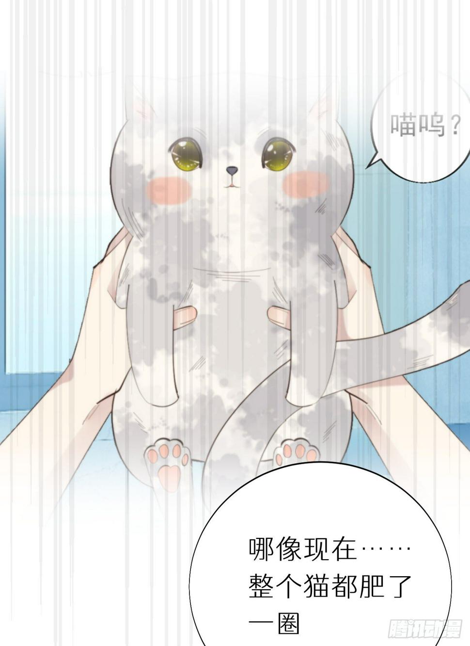 番外三.吃胖25