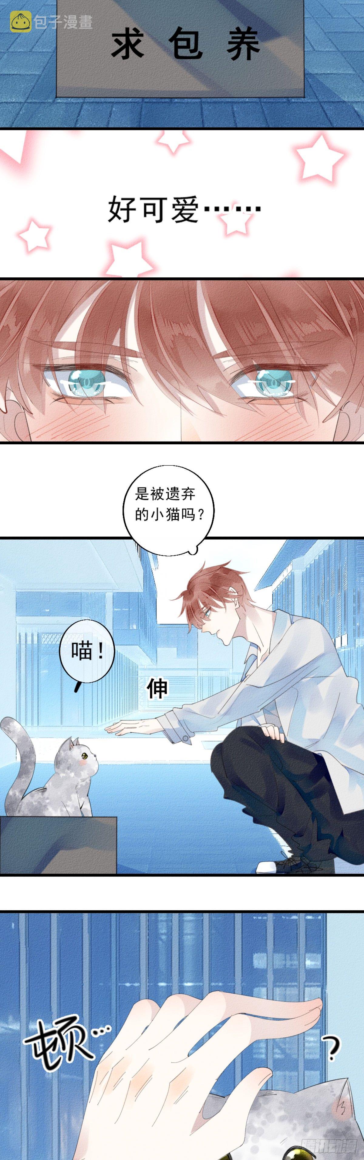 1.路遇一只小猫2
