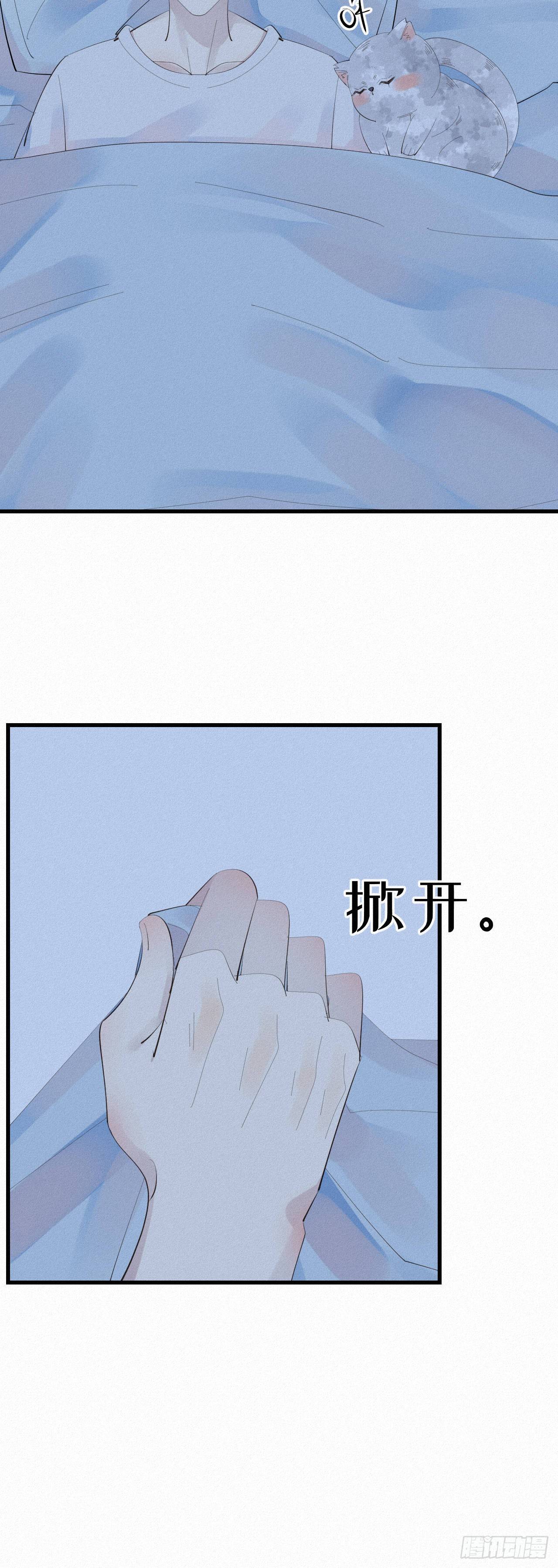 24.逗猫26